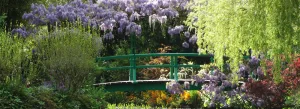 Monet est fêté dans le Lot et Garonne grâce au berceau des nymphéas