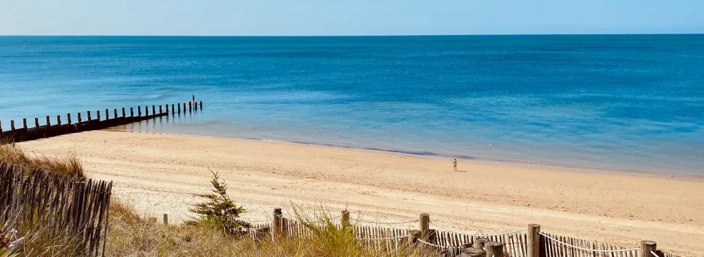 Bilan de la saison  2020 en Vendée Grand Littorale