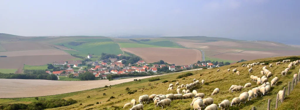 Chiffres-clés 2022 du tourisme dans le Pas-de-Calais