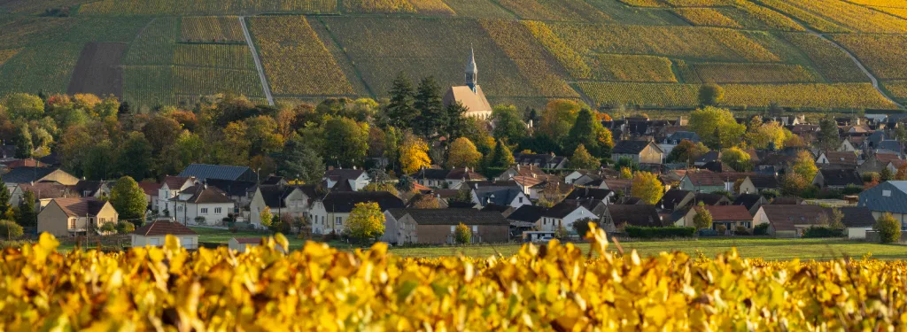Chiffres Clés du tourisme dans l’Yonne - édition 2024