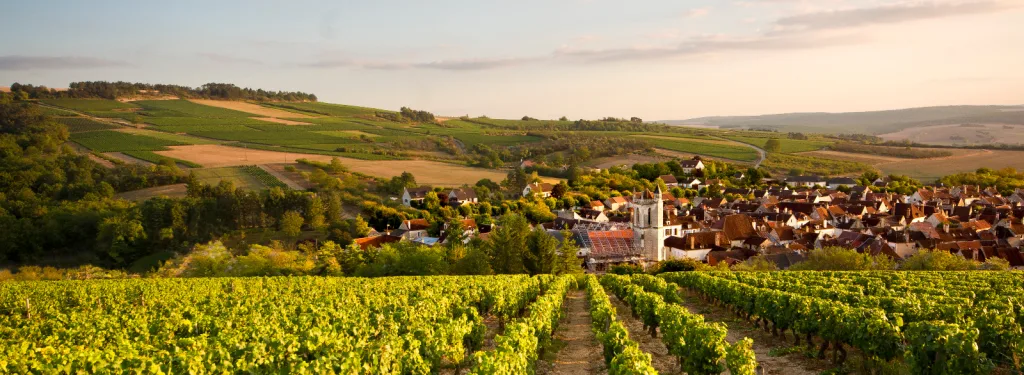 Chiffres Clés du tourisme dans l’Yonne - édition 2023