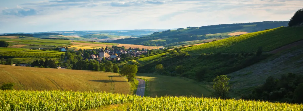 Chiffres Clés du tourisme dans l’Yonne - édition 2020