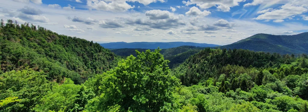 La fréquentation 2025 du Massif des Vosges