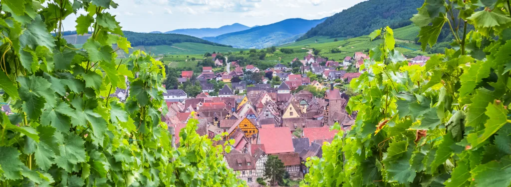 Rapport d’activité 2023 - Alsace Destination Tourisme
