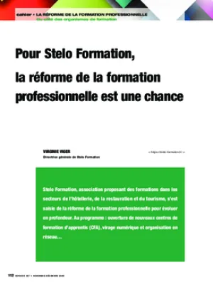 Pour Stelo Formation, la réforme de la formation professionnelle est une chance
