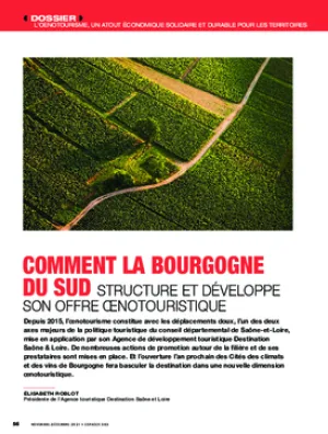 Comment la Bourgogne du Sud structure et développe son offre œnotouristique