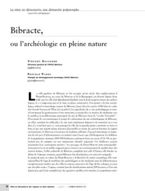 Bibracte, ou l'archéologie en pleine nature